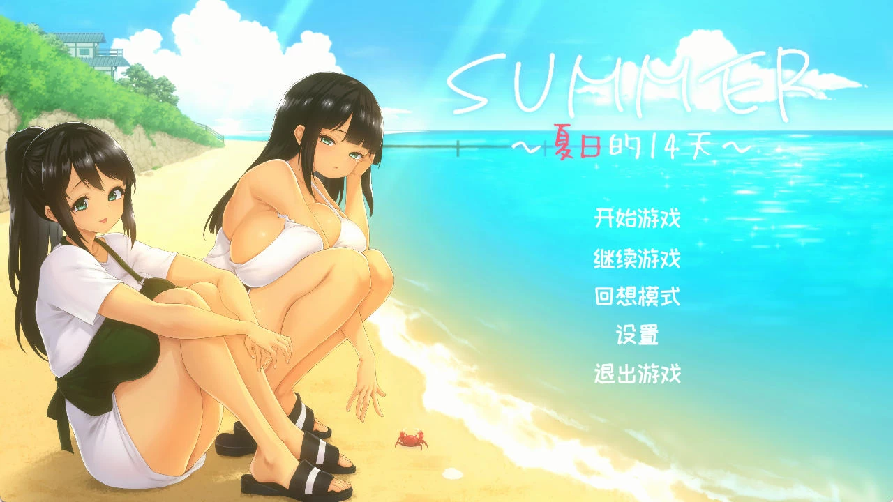 SUMMER 夏日的14天插图